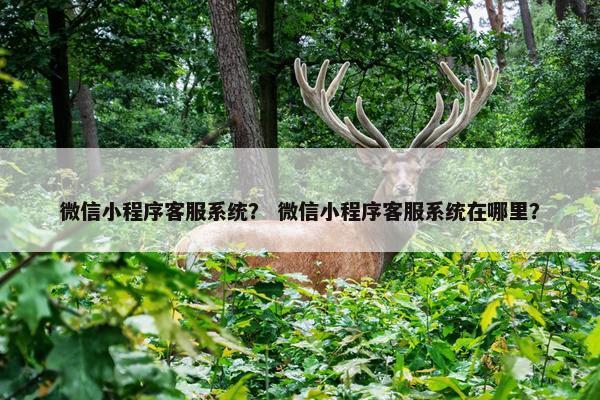 微信小程序客服系统？ 微信小程序客服系统在哪里？