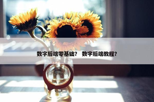 数字后端零基础？ 数字后端教程？