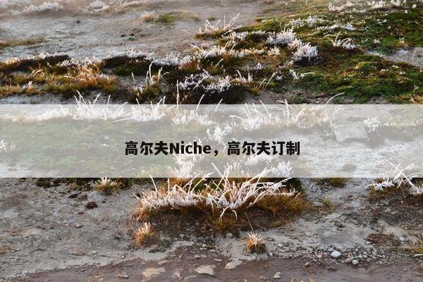 高尔夫Niche，高尔夫订制