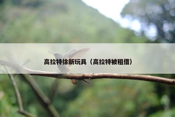 高拉特徐新玩具（高拉特被租借）
