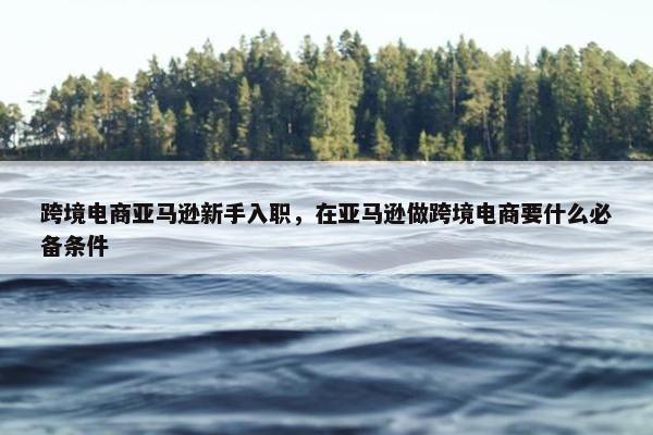 跨境电商亚马逊新手入职，在亚马逊做跨境电商要什么必备条件