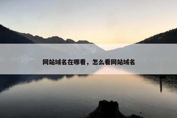 网站域名在哪看，怎么看网站域名