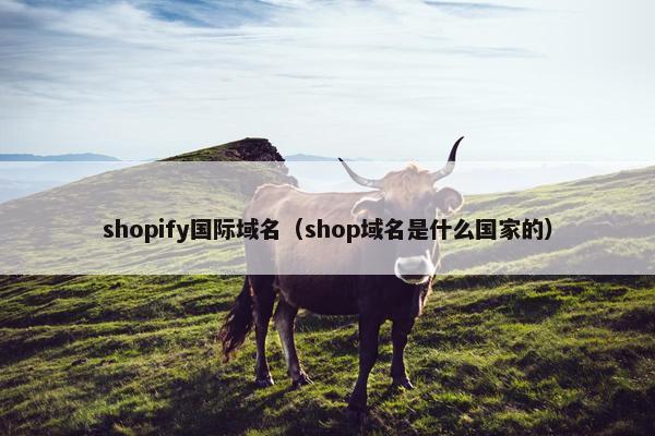 shopify国际域名（shop域名是什么国家的）