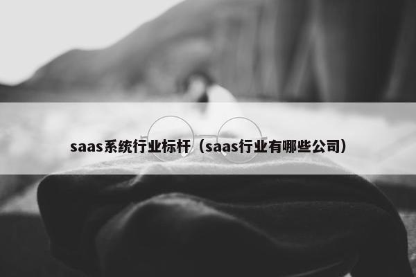 saas系统行业标杆（saas行业有哪些公司）