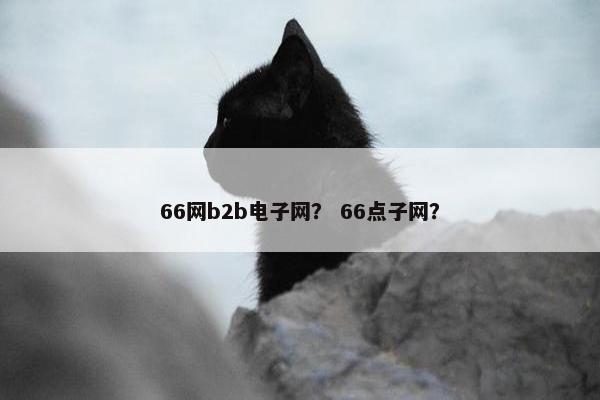 66网b2b电子网？ 66点子网？