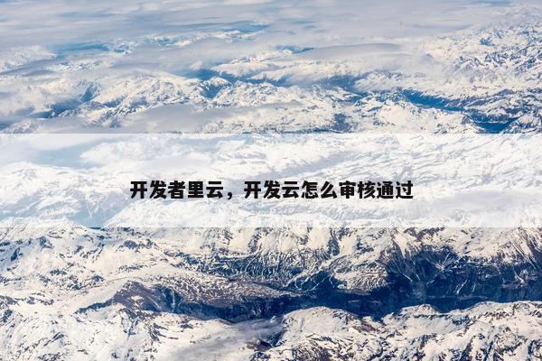 开发者里云，开发云怎么审核通过
