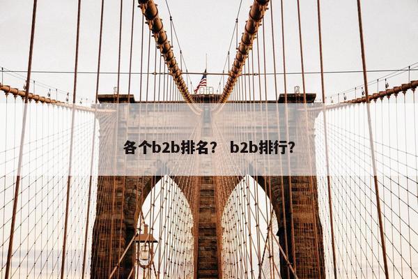 各个b2b排名？ b2b排行？