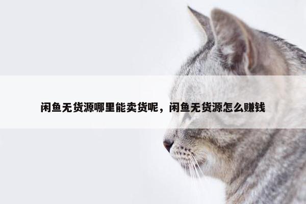 闲鱼无货源哪里能卖货呢，闲鱼无货源怎么赚钱