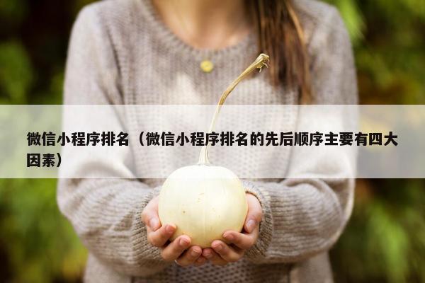 微信小程序排名（微信小程序排名的先后顺序主要有四大因素）