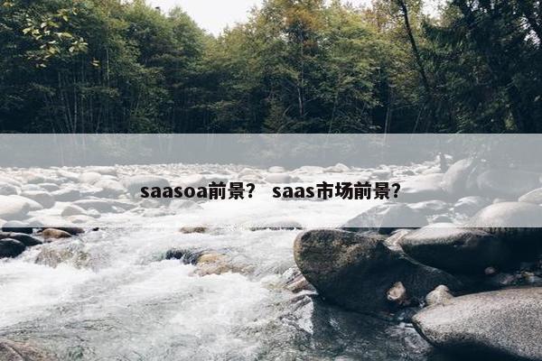 saasoa前景？ saas市场前景？