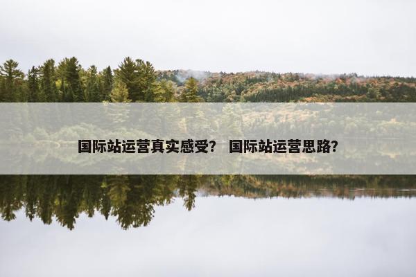 国际站运营真实感受？ 国际站运营思路？