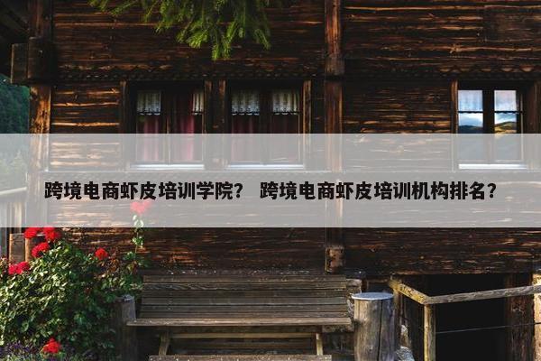 跨境电商虾皮培训学院？ 跨境电商虾皮培训机构排名？
