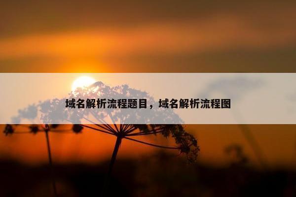 域名解析流程题目，域名解析流程图