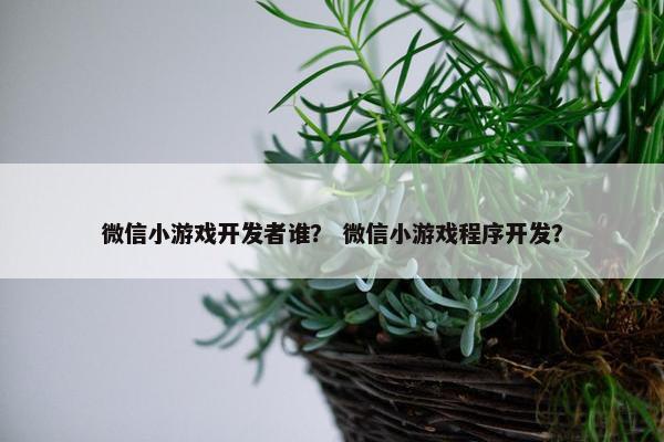 微信小游戏开发者谁？ 微信小游戏程序开发？