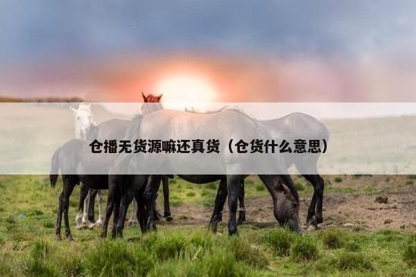 仓播无货源嘛还真货（仓货什么意思）