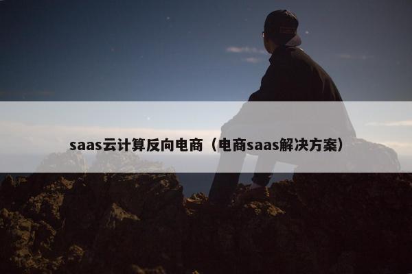 saas云计算反向电商（电商saas解决方案）