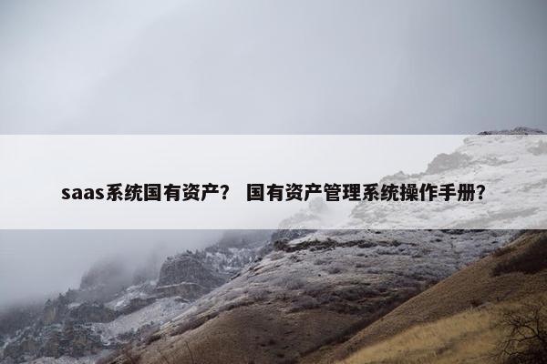 saas系统国有资产？ 国有资产管理系统操作手册？