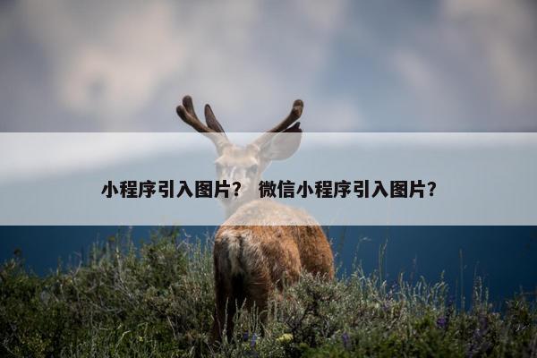 小程序引入图片？ 微信小程序引入图片？