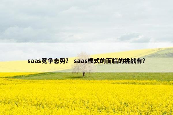 saas竞争态势？ saas模式的面临的挑战有？