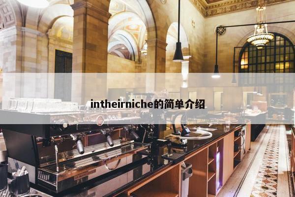 intheirniche的简单介绍
