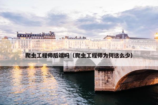 爬虫工程师后端吗（爬虫工程师为何这么少）