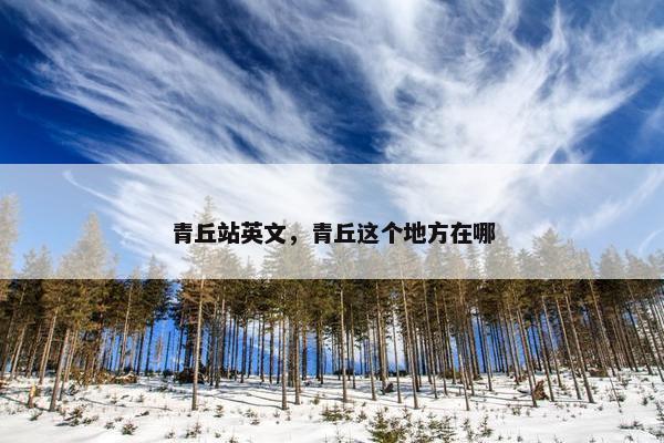 青丘站英文，青丘这个地方在哪