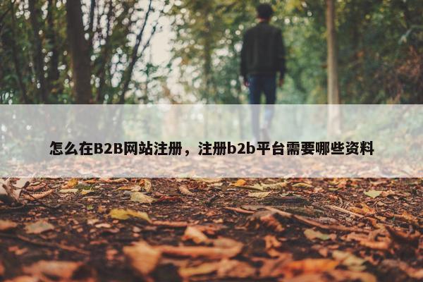 怎么在B2B网站注册，注册b2b平台需要哪些资料