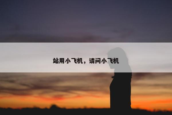 站用小飞机，请问小飞机