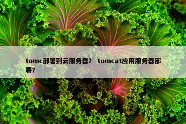 tomc部署到云服务器？ tomcat应用服务器部署？