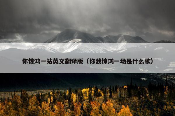 你惊鸿一站英文翻译版（你我惊鸿一场是什么歌）