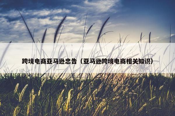 跨境电商亚马逊忠告（亚马逊跨境电商相关知识）