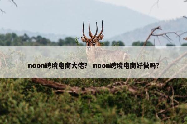 noon跨境电商大佬？ noon跨境电商好做吗？
