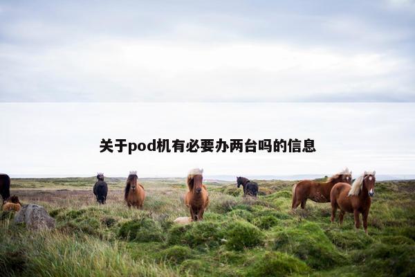 关于pod机有必要办两台吗的信息