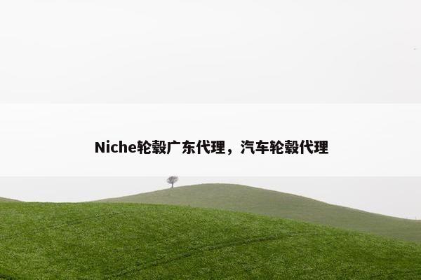Niche轮毂广东代理，汽车轮毂代理