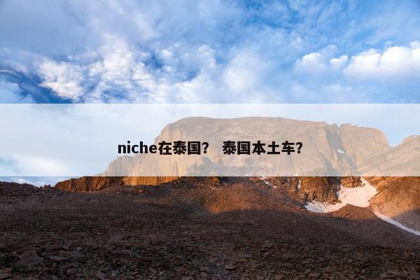 niche在泰国？ 泰国本土车？