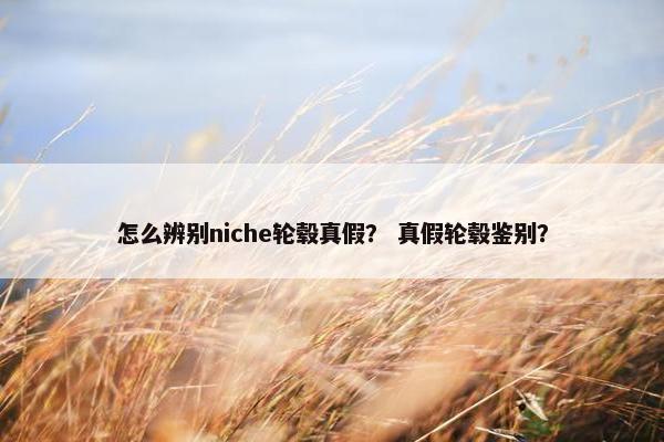 怎么辨别niche轮毂真假？ 真假轮毂鉴别？