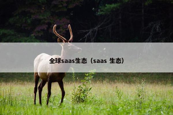 全球saas生态（saas 生态）