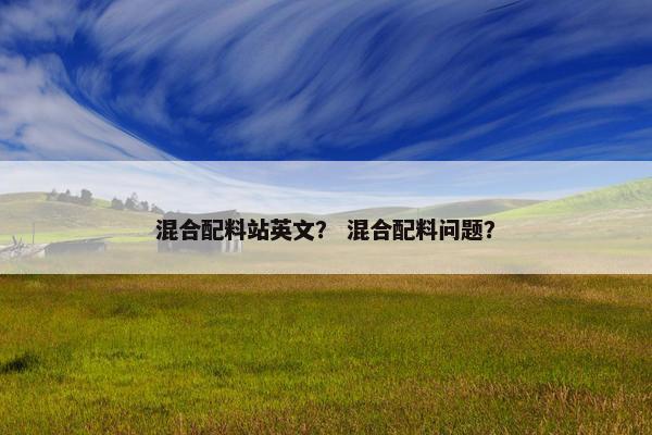 混合配料站英文？ 混合配料问题？