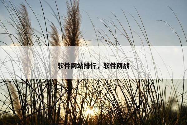 软件网站排行，软件网战