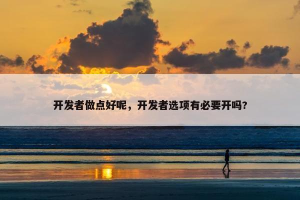 开发者做点好呢，开发者选项有必要开吗?
