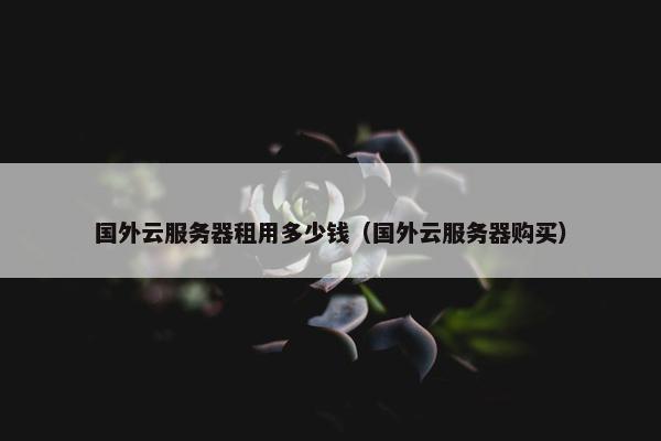 国外云服务器租用多少钱（国外云服务器购买）
