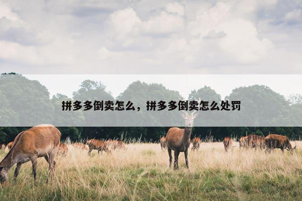 拼多多倒卖怎么，拼多多倒卖怎么处罚