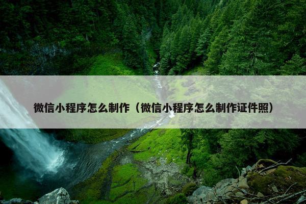 微信小程序怎么制作（微信小程序怎么制作证件照）