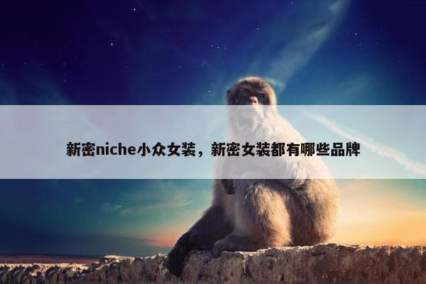新密niche小众女装，新密女装都有哪些品牌
