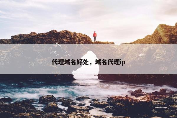 代理域名好处，域名代理ip