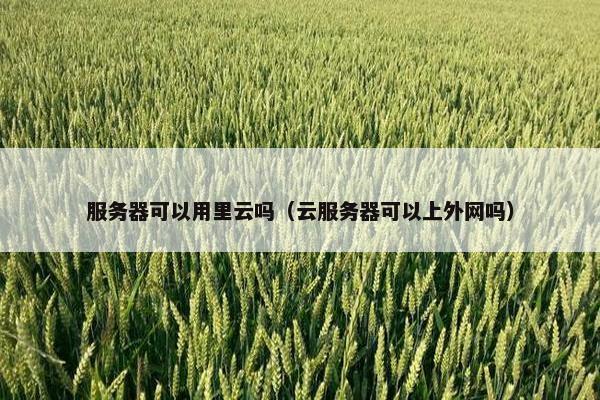 服务器可以用里云吗（云服务器可以上外网吗）