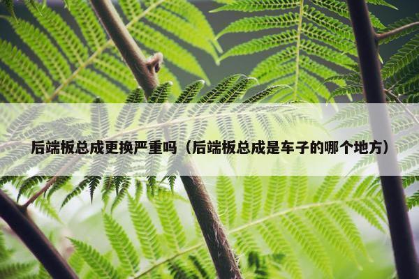 后端板总成更换严重吗（后端板总成是车子的哪个地方）