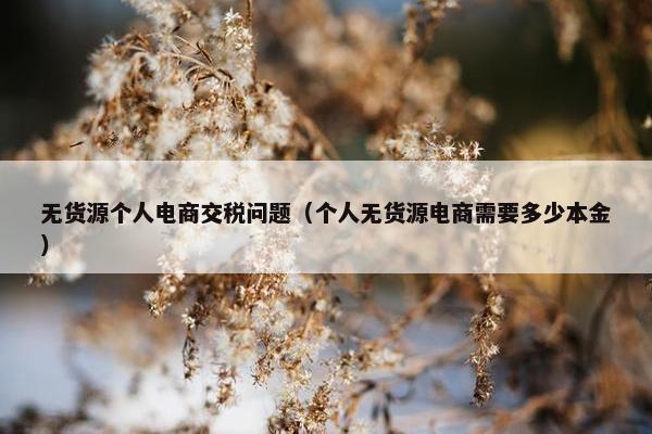 无货源个人电商交税问题（个人无货源电商需要多少本金）