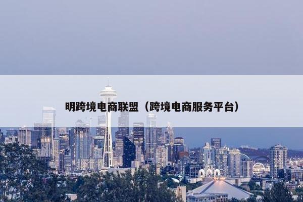 明跨境电商联盟（跨境电商服务平台）