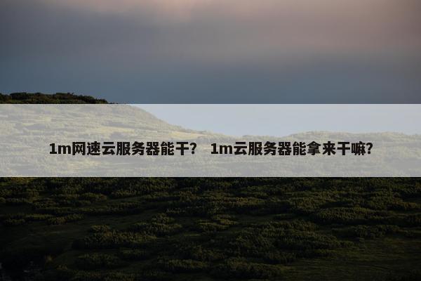1m网速云服务器能干？ 1m云服务器能拿来干嘛？